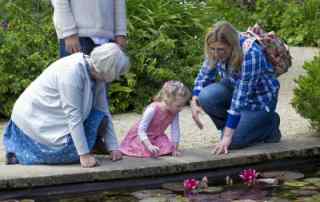 Grandparents' rights to see their grandchildren